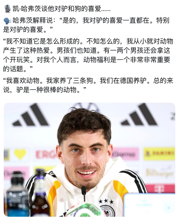 哈弗茨国际比赛日后健康成关键 奥林匹克公园冲