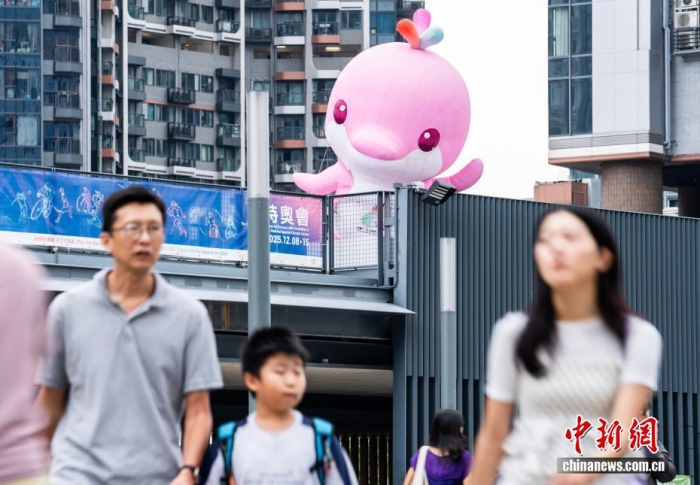 跨境协作与粤港澳大湾区一体化中的全运会制度