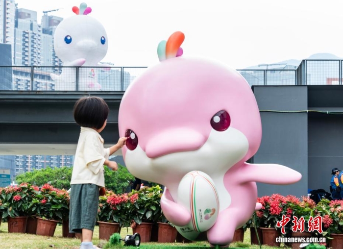 跨境协作与粤港澳大湾区一体化中的全运会制度